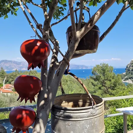 Amos Sea View Vilă Marmaris