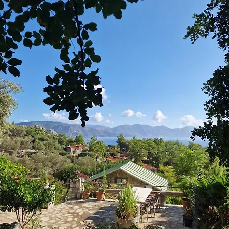Amos Sea View