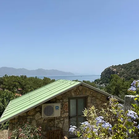 Amos Sea View *